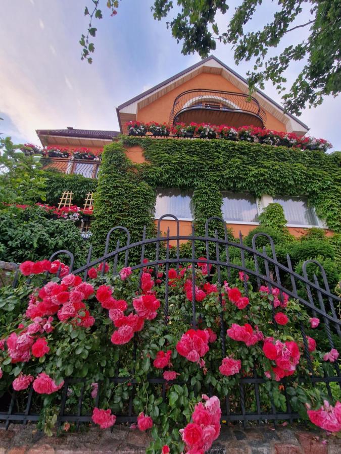 Villa Victoria Łeba Dış mekan fotoğraf
