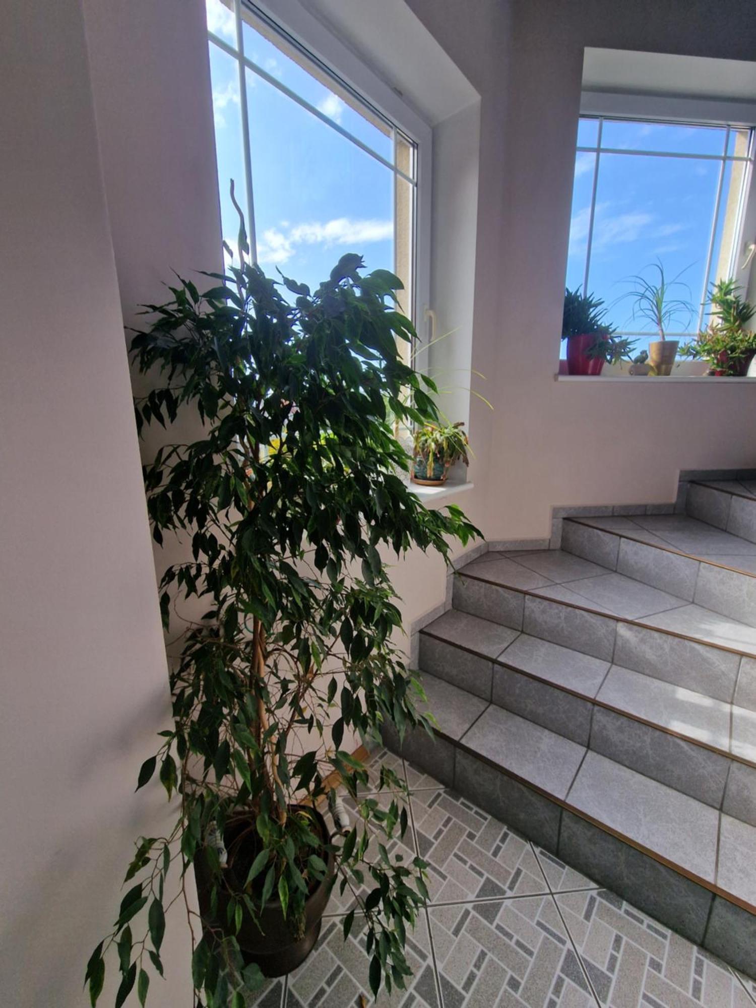 Villa Victoria Łeba Dış mekan fotoğraf